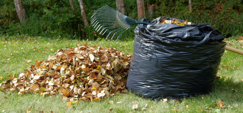 Zelf doen: bladcompost maken 